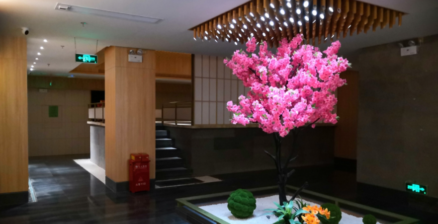 攀枝花市水疗会所